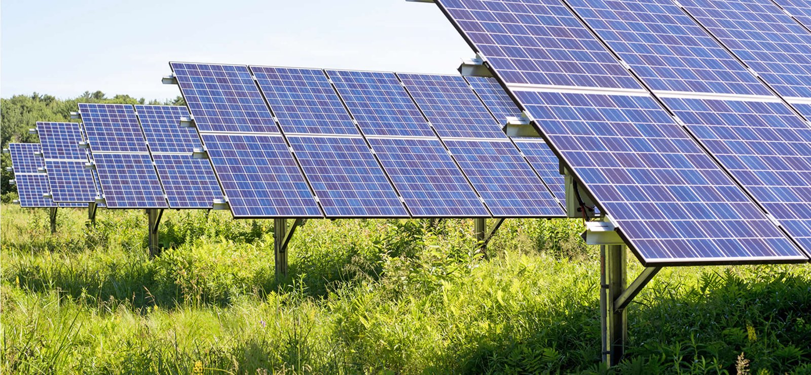 Plano Safra passa a financiar baterias para armazenamento de energia nas propriedades rurais