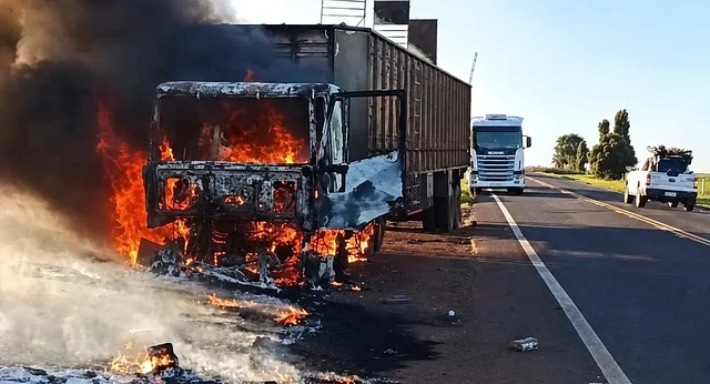 Carreta boiadeira pega fogo na MS-395 e motorista abre compartimento para salvar animais