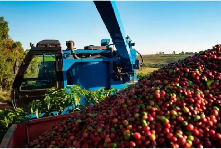 Safra recorde deve aliviar mercado de café, mas El Niño ameaça preços