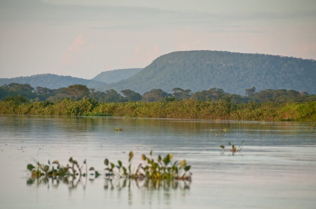 Câmara coloca em análise projeto contra expansão da Estação Ecológica de Taiamã em MT