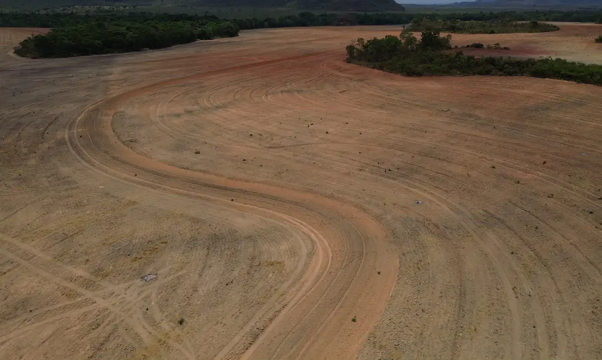 Estudo aponta que fim da Moratória da Soja pode acelerar desmatamento na Amazônia