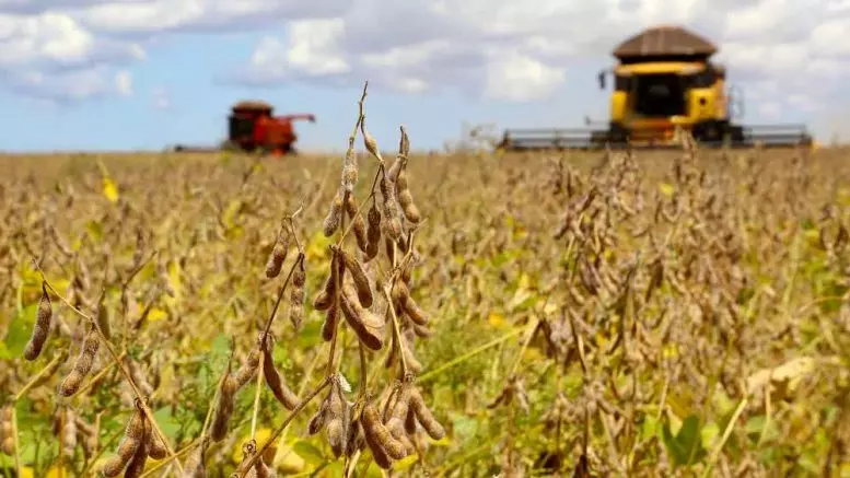 Nova linha para renegociar dívidas rurais ainda depende de regulamentação; Famasul orienta produtores