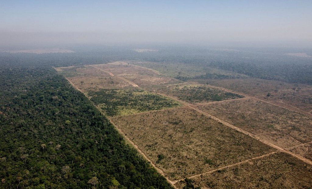 Senado aprova corte de 40% da Flona do Jamanxim e reduz proteção na Amazônia