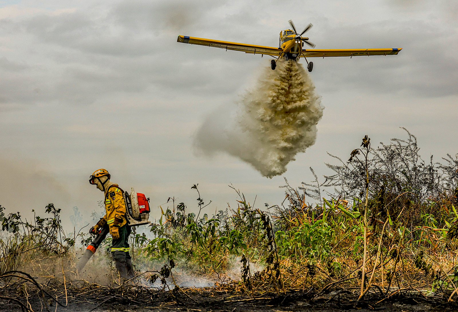 Pantanal tem maior queda nas queimadas entre biomas brasileiros, aponta MapBiomas