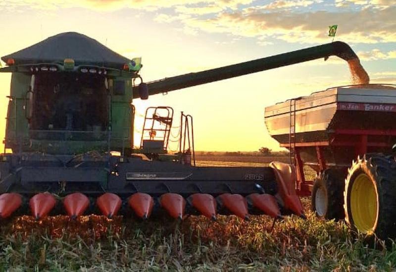 Crédito rural em MS fecha Plano Safra 2025/26 com queda de 22,3% nas contratações
