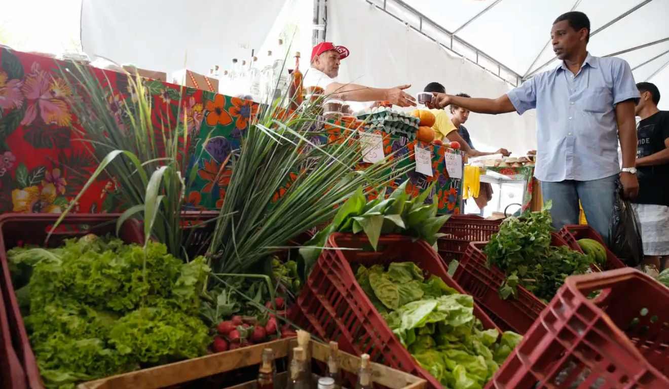 Governo adia exigência de CNPJ para autônomos e produtores rurais; veja o novo prazo