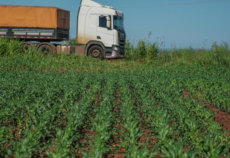 Dependência das rodovias encarece frete e reduz competitividade do agro em MS