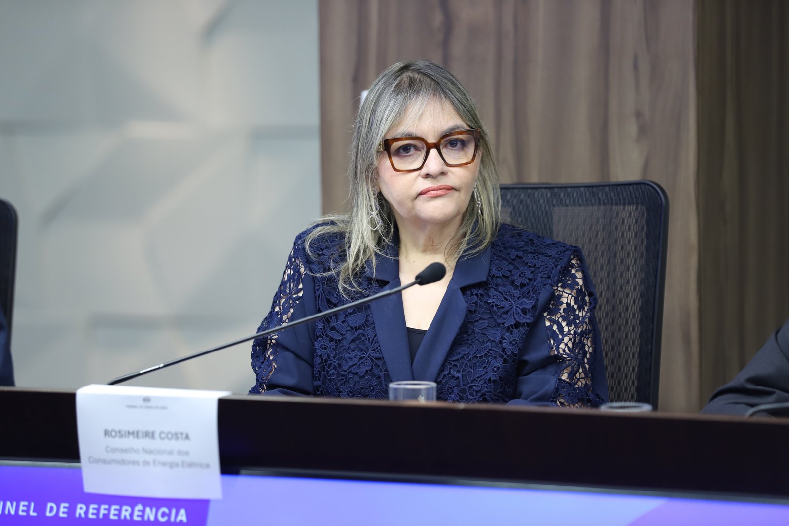 No TCU, Rosimeire Costa defende que mudanças no setor elétrico não pesem no bolso do consumidor