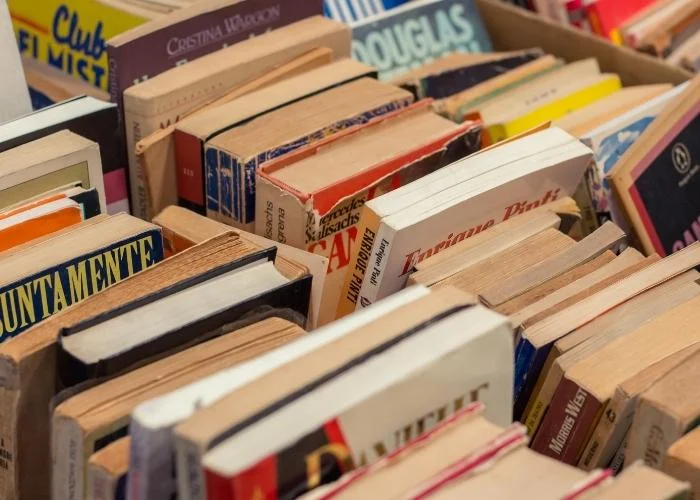Gibiteca promove drive-thru para arrecadar livros no Centro de Campo Grande a partir de quinta (13)