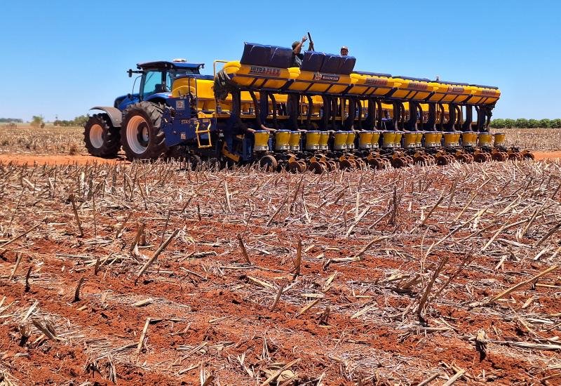 Plantio da soja começa em MS sob pressão de custos, clima e produtividade