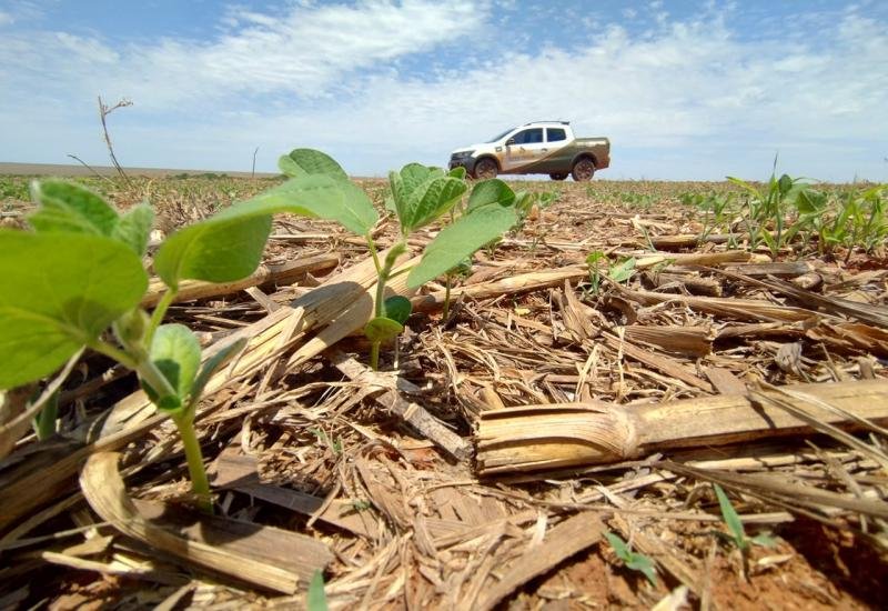 Plantio de soja supera 50% da área prevista em MS e avança mais rápido que em 2025