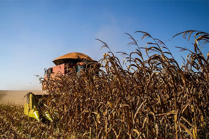 Fundação MS divulga estudos da Safra 2024 no estado