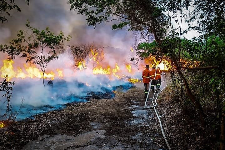 IHP precisa de médicos e enfermeiros para emergência no Pantanal