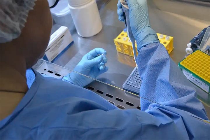 Nova variante do Sars-CoV-2 é identificada em três estados do Brasil
