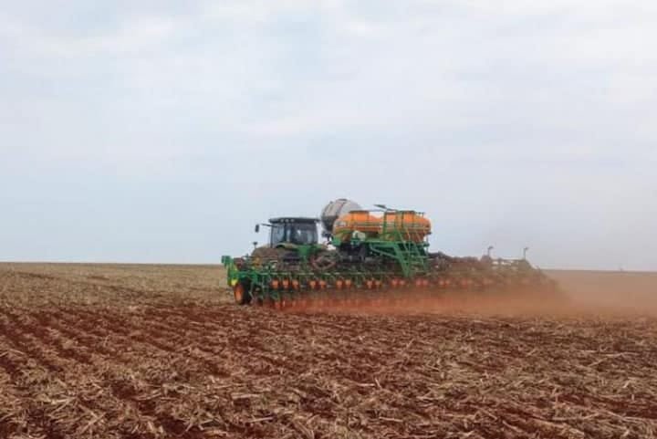 Plantio de soja atinge 16% da área em Mato Grosso do Sul