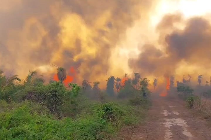 Serra do Amolar sofre com aumento dos incêndios