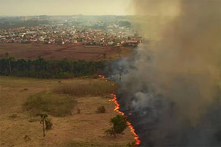 Emissões de CO₂ por incêndios florestais disparam 60% em 20 anos