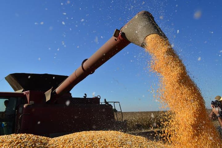 MS tem 10 municípios entre os mais ricos do Agro