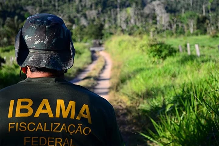 IBAMA publica edital para concurso com 460 vagas e salários de R$ 9.994,60