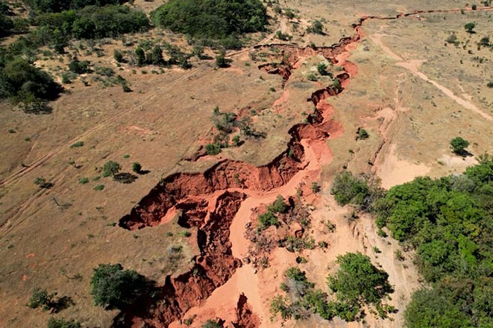 Projeto "Caminhos das Nascentes" investe R$ 6,7 milhões na restauração de 378 hectares na Bacia do Taquari, no MS, promovendo sustentabilidade e recuperação ambiental.
