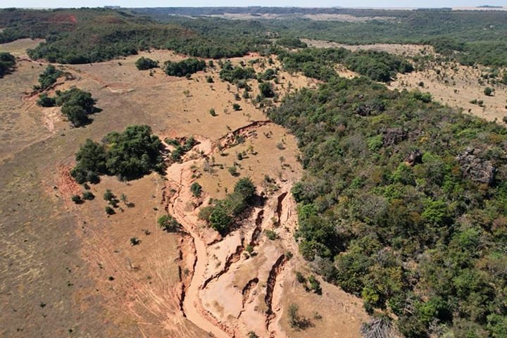 Projeto "Caminhos das Nascentes" investe R$ 6,7 milhões na restauração de 378 hectares na Bacia do Taquari, no MS, promovendo sustentabilidade e recuperação ambiental.