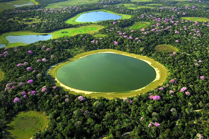 Pantanal Sul-Mato-Grossense pode se tornar Patrimônio Nacional com aprovação de PEC