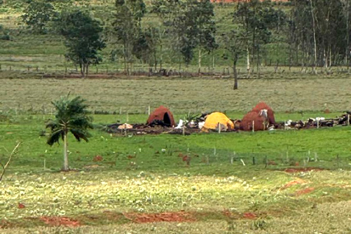 Carvoaria clandestina é alvo de investigação por crimes ambientais em Tacuru