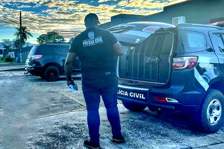 Mecânico é preso em Amambai após condenação por estupro de vulnerável