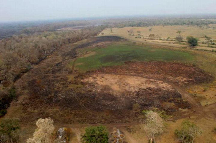 MPMS apura queimada ilegal que devastou área protegida no Pantanal de Aquidauana