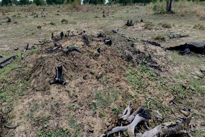 MPMS investiga devastação de mais de mil hectares por incêndios no Pantanal