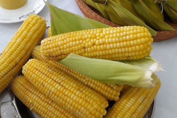Festa do Milho celebra tradições e sabores em São Gabriel do Oeste em junho