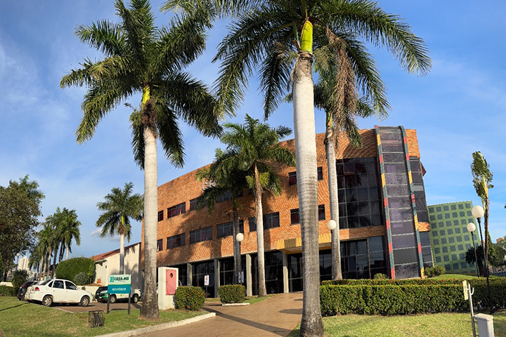 Inscrições abertas para premiação ambiental do Crea-MS: o Prêmio Ipê Amarelo