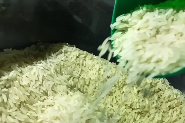 Preço do arroz recua e atinge menor valor em quase três anos