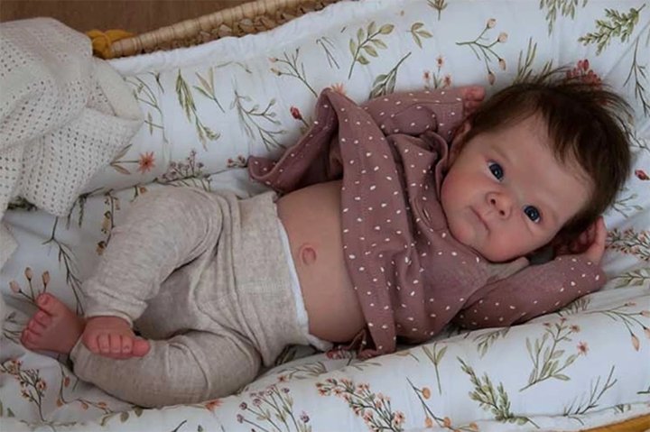 Deputado propõe lei para proibir serviços públicos a bebês reborn em Minas Gerais