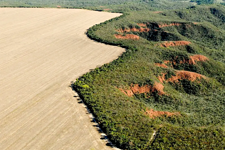 Deputados da ALEMS divergem sobre projeto que flexibiliza licenciamento ambiental
