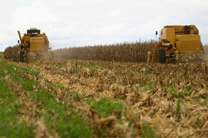 CNA alerta que crédito rural pode encarecer na próxima safra com alta da Selic e incertezas fiscais