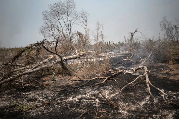 Incêndios em fazenda de Corumbá levam MPMS a investigar desmate de 86 hectares