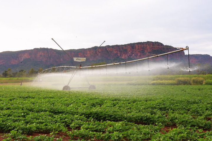 Pantanal Tech MS destaca inovação no agro sustentável e atrai R$ 40 milhões em investimentos científicos