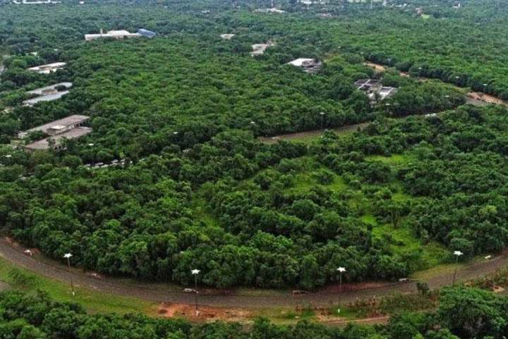 Ação civil pública busca impedir avanço imobiliário no entorno do Parque Estadual do Prosa