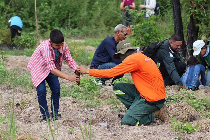 Plantio de árvores no Pantanal mobiliza mais de 200 estudantes em Corumbá e Ladário