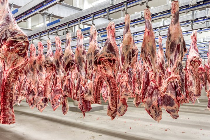 Produção de carnes no Brasil em 2025 deve superar 31 milhões de toneladas, projeta Conab