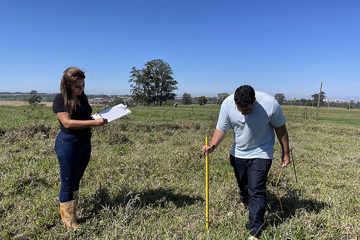 Pecuária pode dobrar produção sem desmatar, aponta estudo com participação da Embrapa