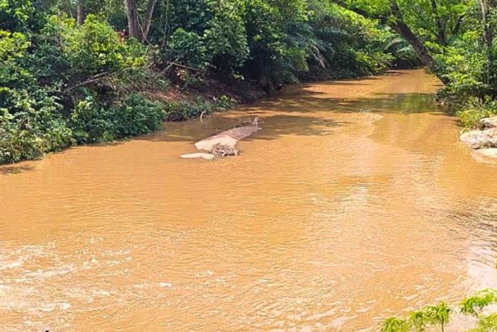 MP aciona fazendas, loteadora e empresa por devastação em rios de Bonito