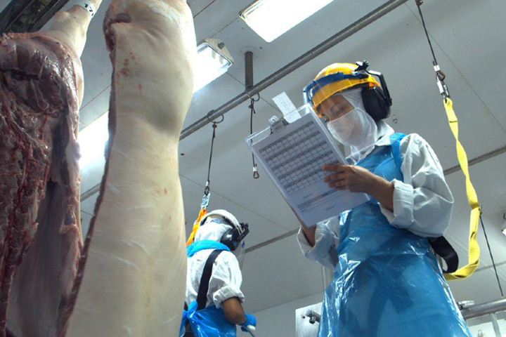 Exportações de carne suína batem recorde e somam US$ 341,6 milhões em junho