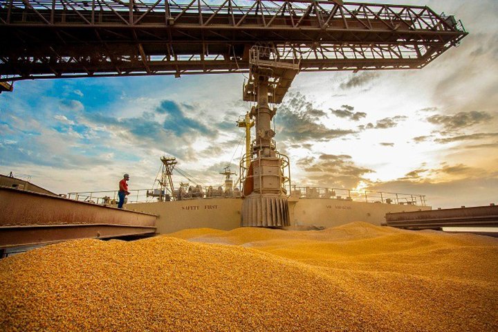 Exportações de milho avançam 70% na semana, mas seguem abaixo do ritmo de 2024