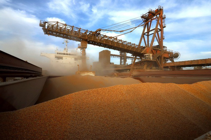 Exportações de milho em julho começam lentas devido ao atraso na colheita