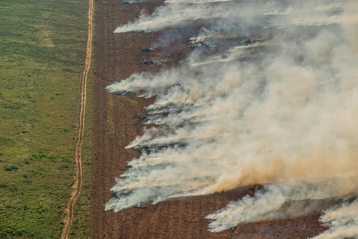 Retrocesso ambiental: deputados podem votar hoje projeto que fragiliza proteção e cria brechas legais