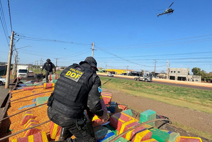 DOF apreende 15 toneladas de maconha escondidas em carga de milho em Ponta Porã
