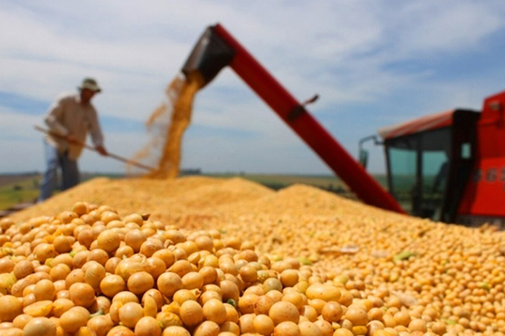 Famasul realiza evento sobre Reforma Tributária no Agro em setembro