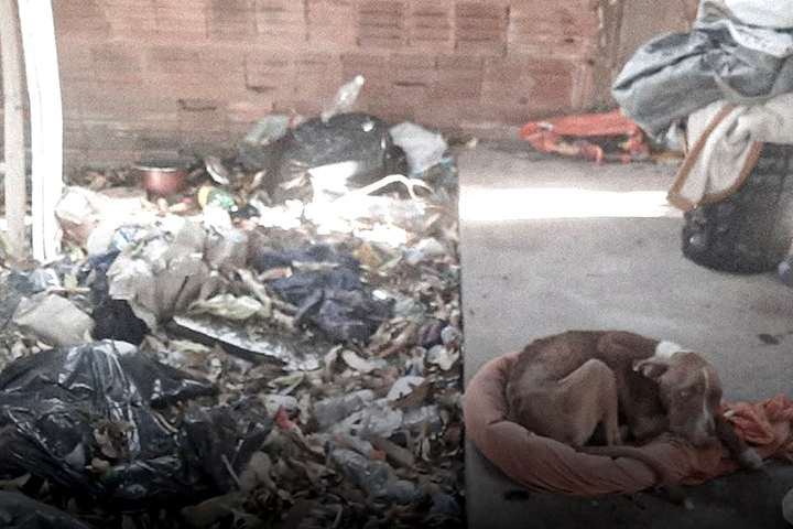 Homem é autuado por maus-tratos a cão e porte de drogas em Três Lagoas